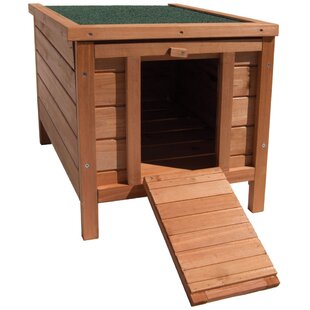 Cosy pet hotsell rabbit hutch